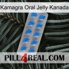 Kamagra Oral Jelly Canada 22